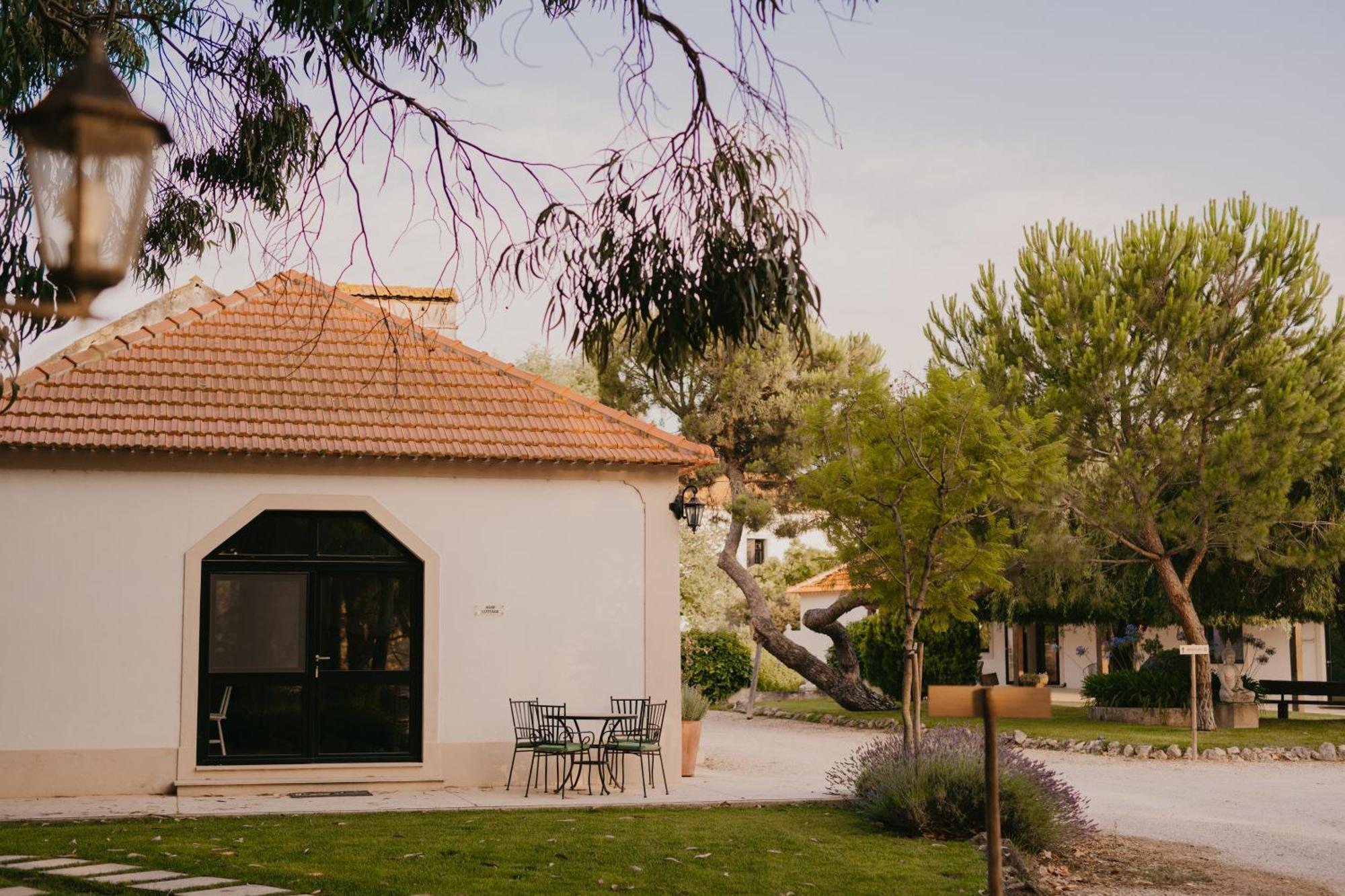 Отель Quinta Carvalhas - The Green Farm Casevel Экстерьер фото