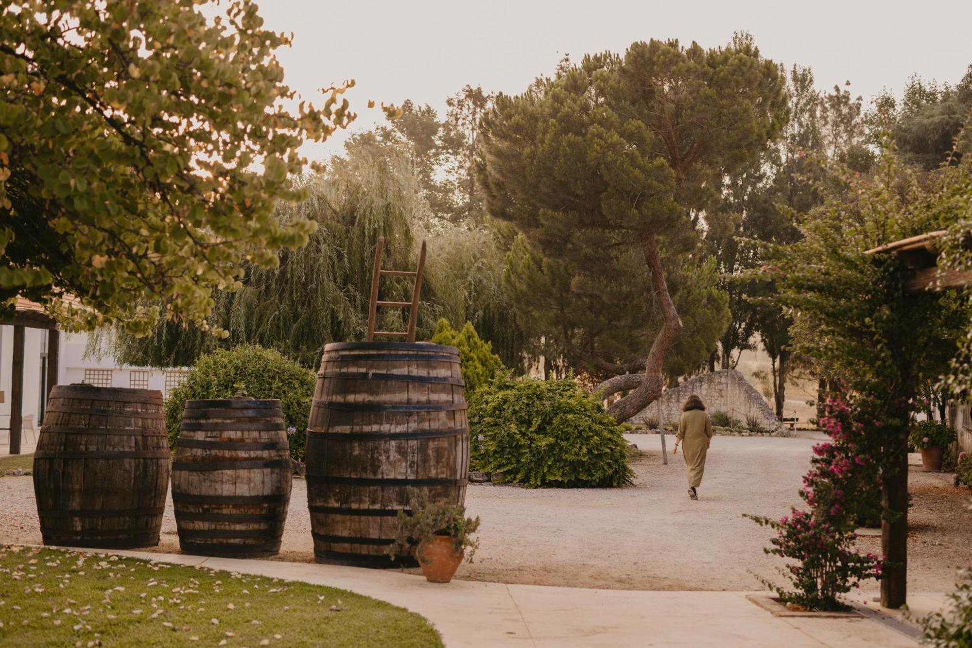 Отель Quinta Carvalhas - The Green Farm Casevel Экстерьер фото
