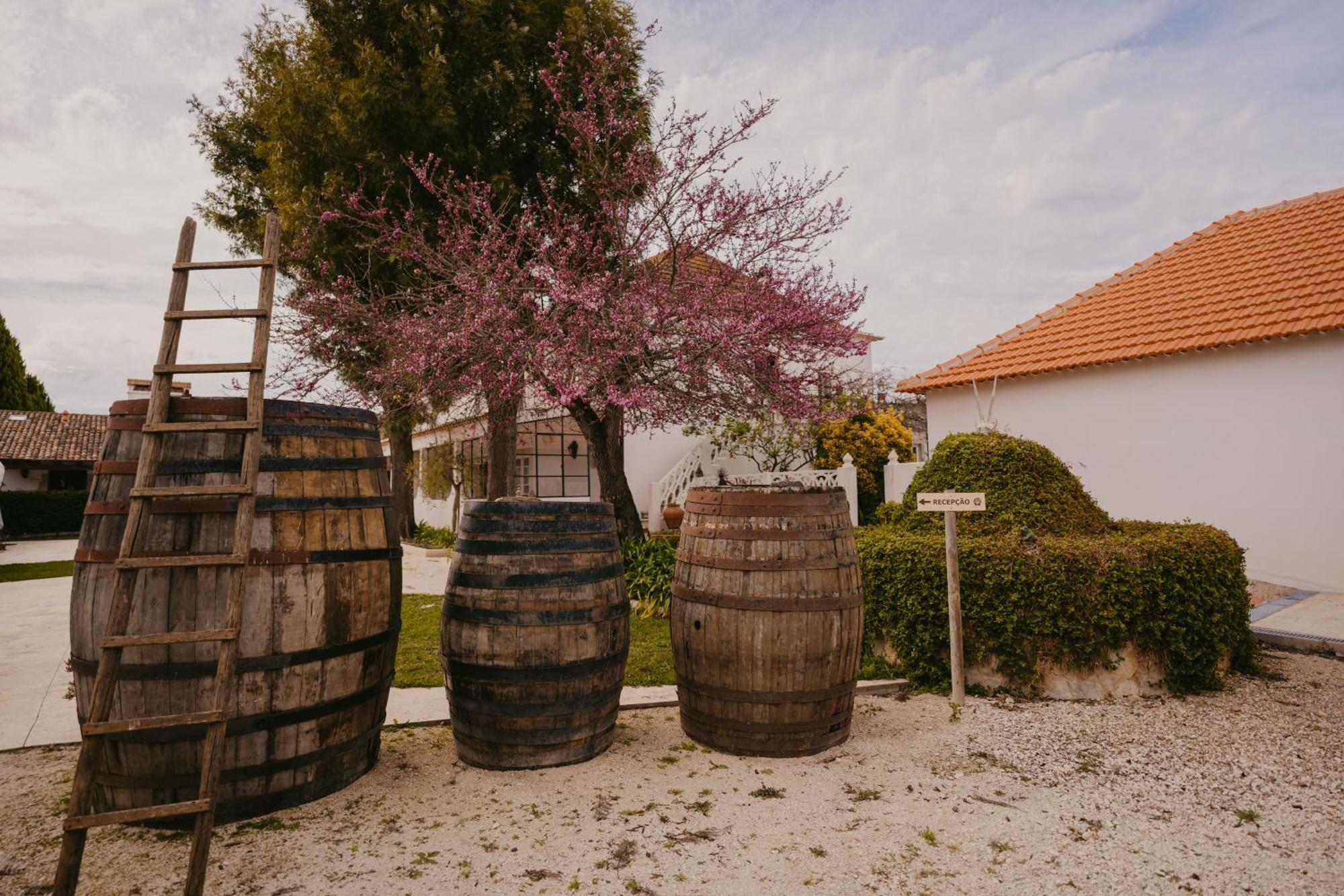 Отель Quinta Carvalhas - The Green Farm Casevel Экстерьер фото