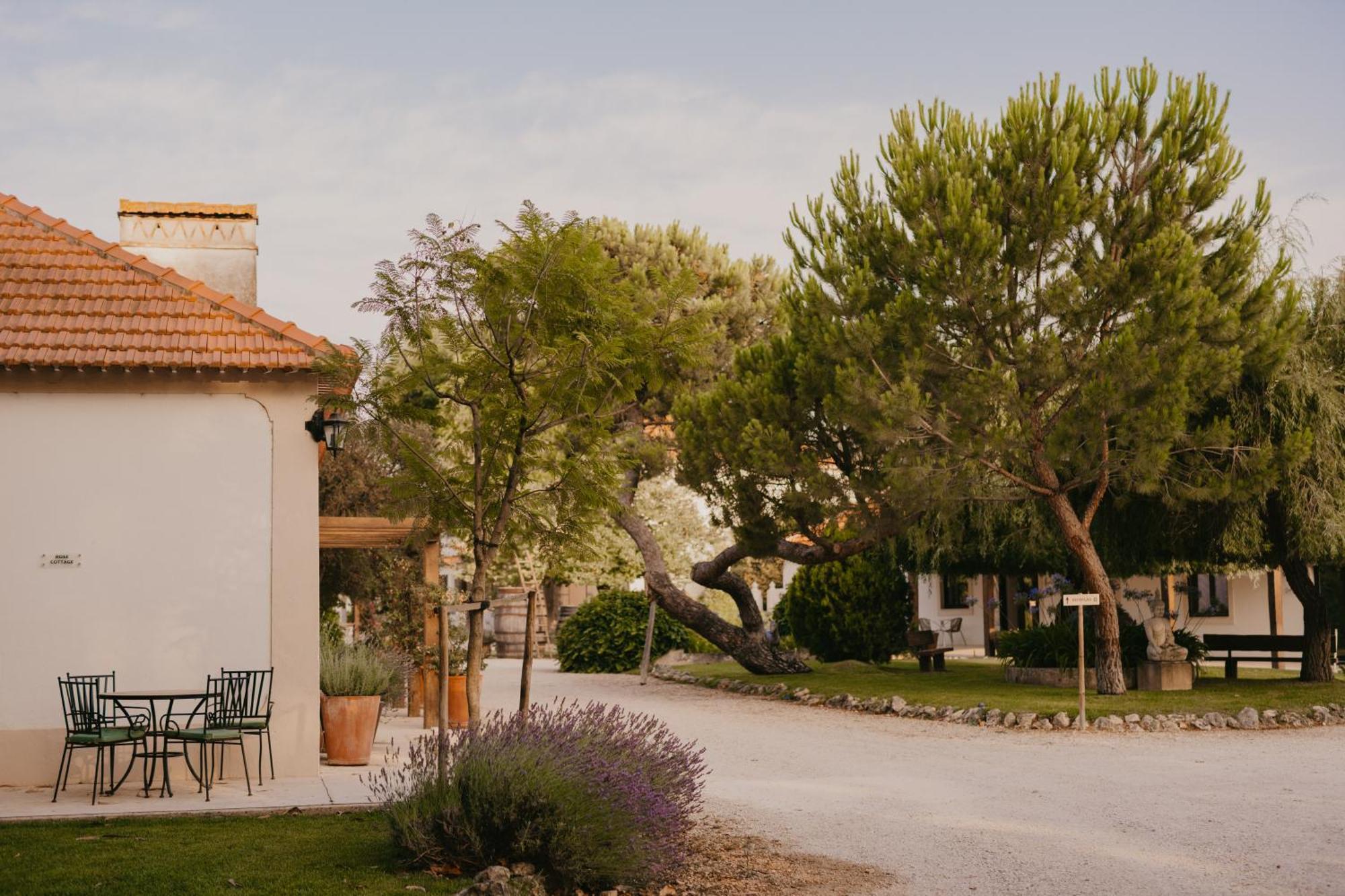 Отель Quinta Carvalhas - The Green Farm Casevel Экстерьер фото